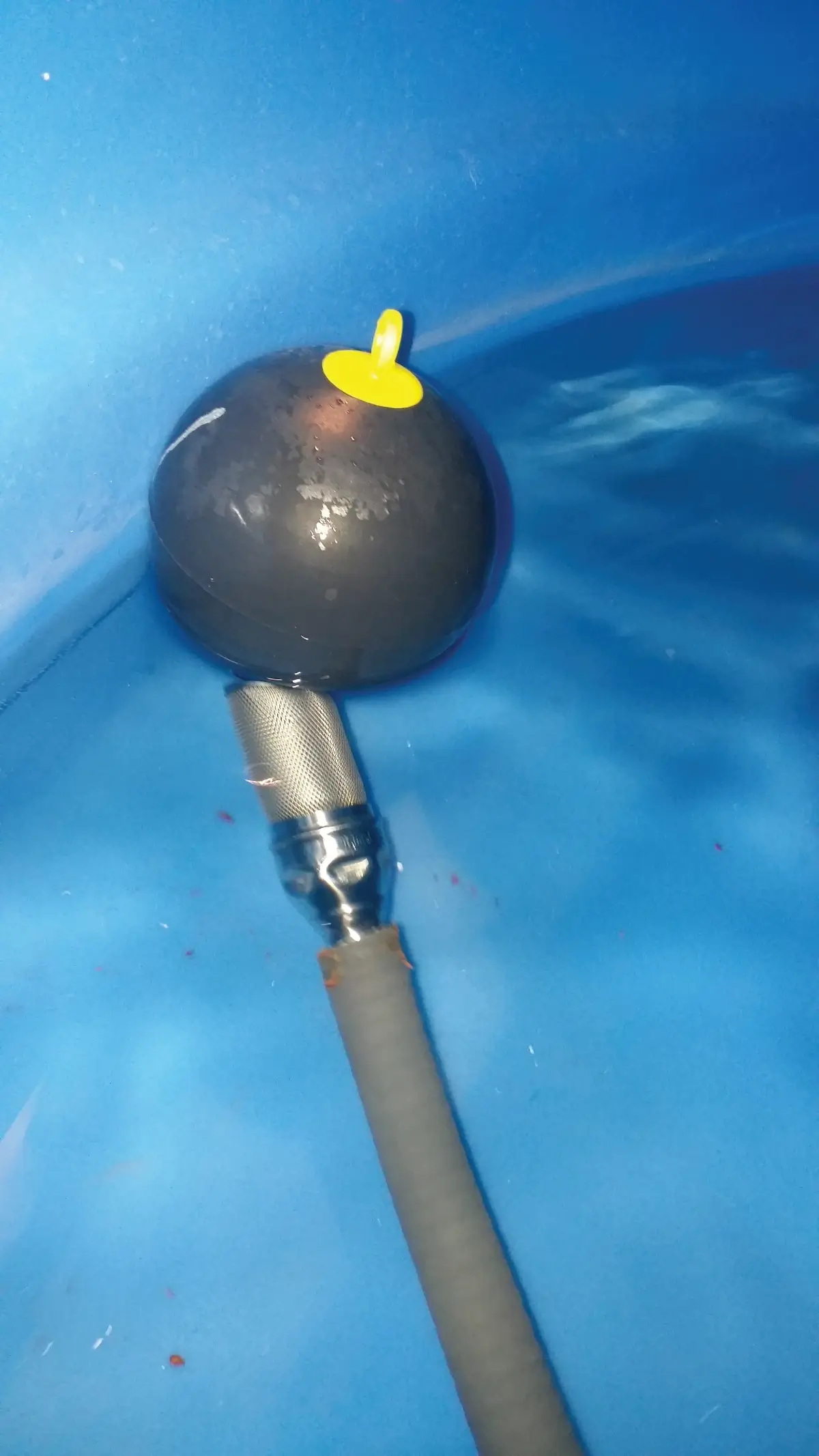 Photo d'une crépine d’aspiration filtrante avec flotteur dans une citerne d'eau de pluie