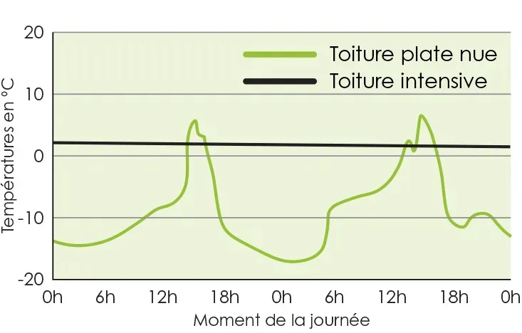 Graphique représentant l’évolution des températures en °C d’une toiture plate nue et d’une toiture intensive au cours de la journée en hiver. L’axe horizontal indique le moment de la journée de 0h à 24h, et l’axe vertical les températures de -20°C à 20°C. La courbe verte (toiture plate nue) montre des variations importantes, descendant sous -10°C pendant la nuit et présentant deux pics positifs autour de 12h et 18h. La courbe noire (toiture intensive) reste proche de 0°C tout au long de la journée, avec de faibles fluctuations.