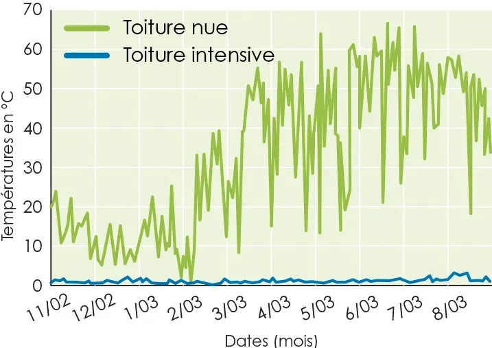 Graphique comparant les températures en °C d’une toiture nue et d’une toiture intensive sur plusieurs mois. L’axe horizontal représente les dates de février à août, et l’axe vertical les températures de 0 à 70°C. La courbe verte (toiture nue) commence autour de 10°C en février, puis fluctue entre 10 et 30°C jusqu’en mars. À partir d’avril, elle atteint régulièrement entre 30 et 50°C, avec des pics dépassant 60°C en mai et juin. En juillet et août, elle oscille toujours fortement entre 20 et 60°C. La courbe bleue (toiture intensive) reste stable autour de 0 à 10°C tout au long de la période