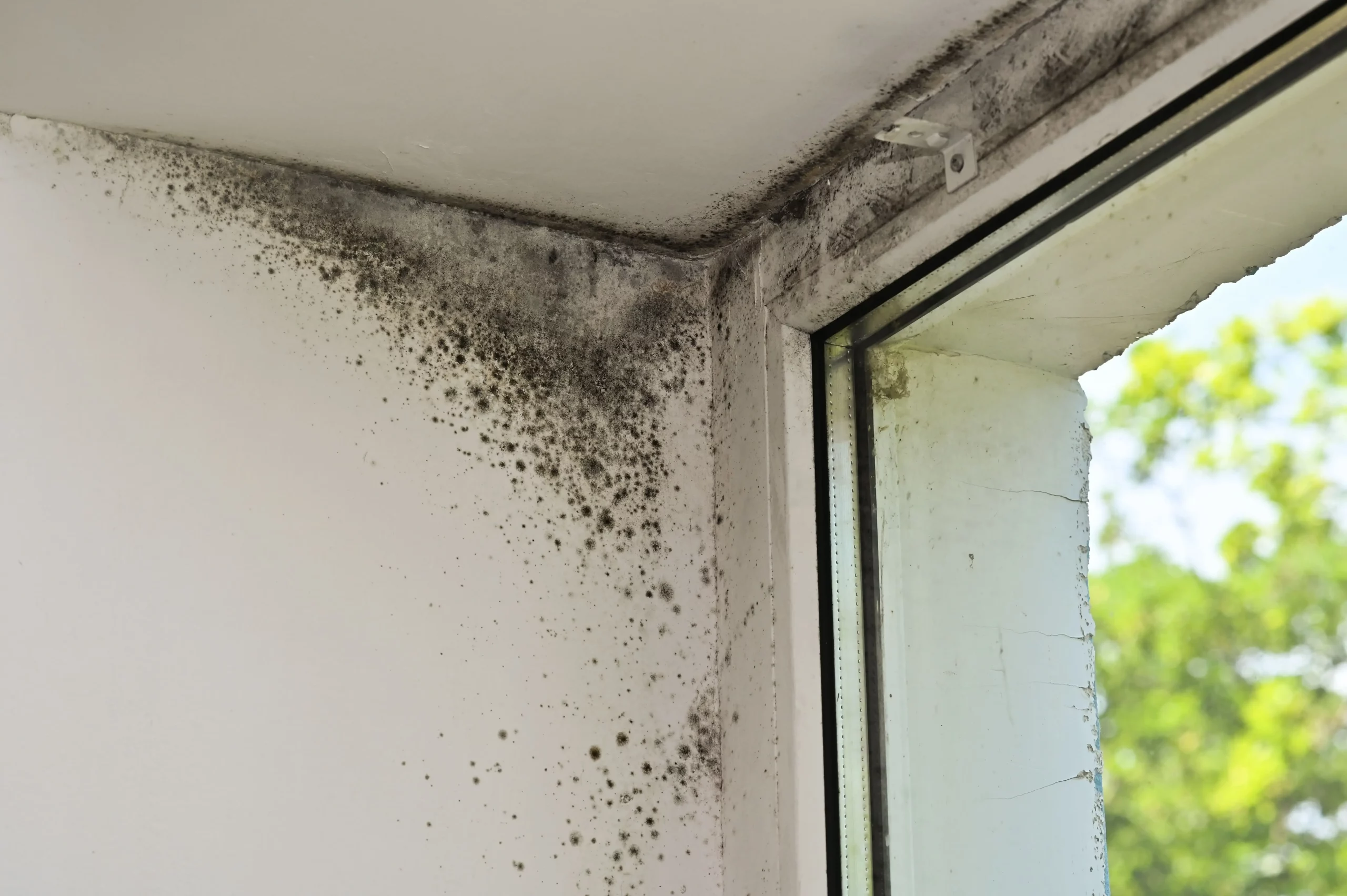 Condensation : un problème d'humidité fréquent dans les habitations