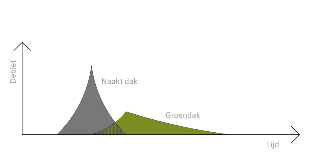Grafiek die de evolutie van het debiet in de tijd weergeeft. De x-as geeft de tijd weer, terwijl de y-as het debiet weergeeft. Er worden twee zones gemarkeerd: een grijze zone met het label ‘Kale dakbedekking’ die een hoge debietpiek over een korte periode laat zien, gevolgd door een groene zone met het label ‘Groendak’ die een lager debiet laat zien dat over een langere periode is gespreid. De grafiek illustreert hoe een groendak de afvoer van regenwater vermindert en spreidt in vergelijking met een kaal dak.